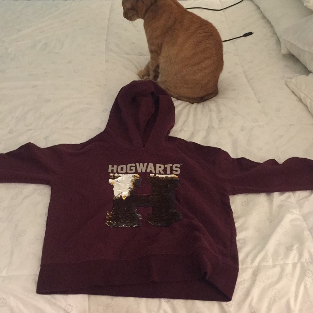 Harry Potter flip-sequin Hoodie